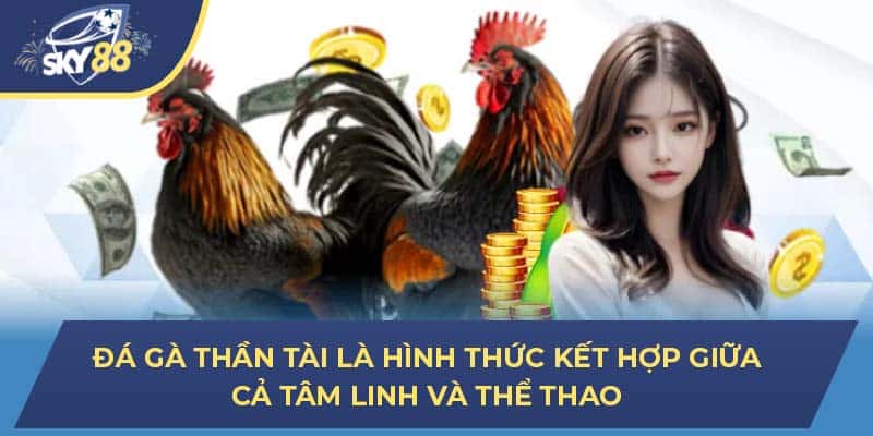 Đá gà thần tài là hình thức kết hợp giữa cả tâm linh và thể thao