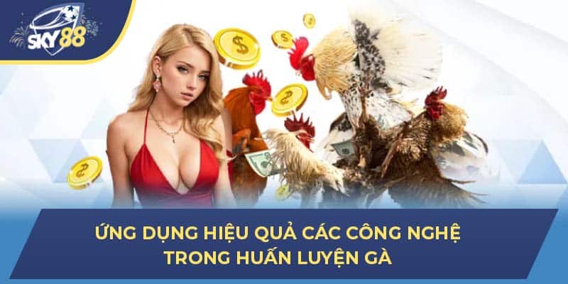 Ứng dụng hiệu quả các công nghệ trong huấn luyện gà